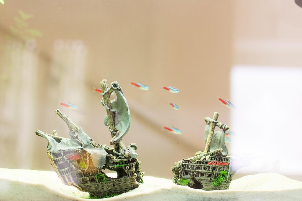 Il Giglio Verde Porto SantʼElpidio Zewnętrze zdjęcie